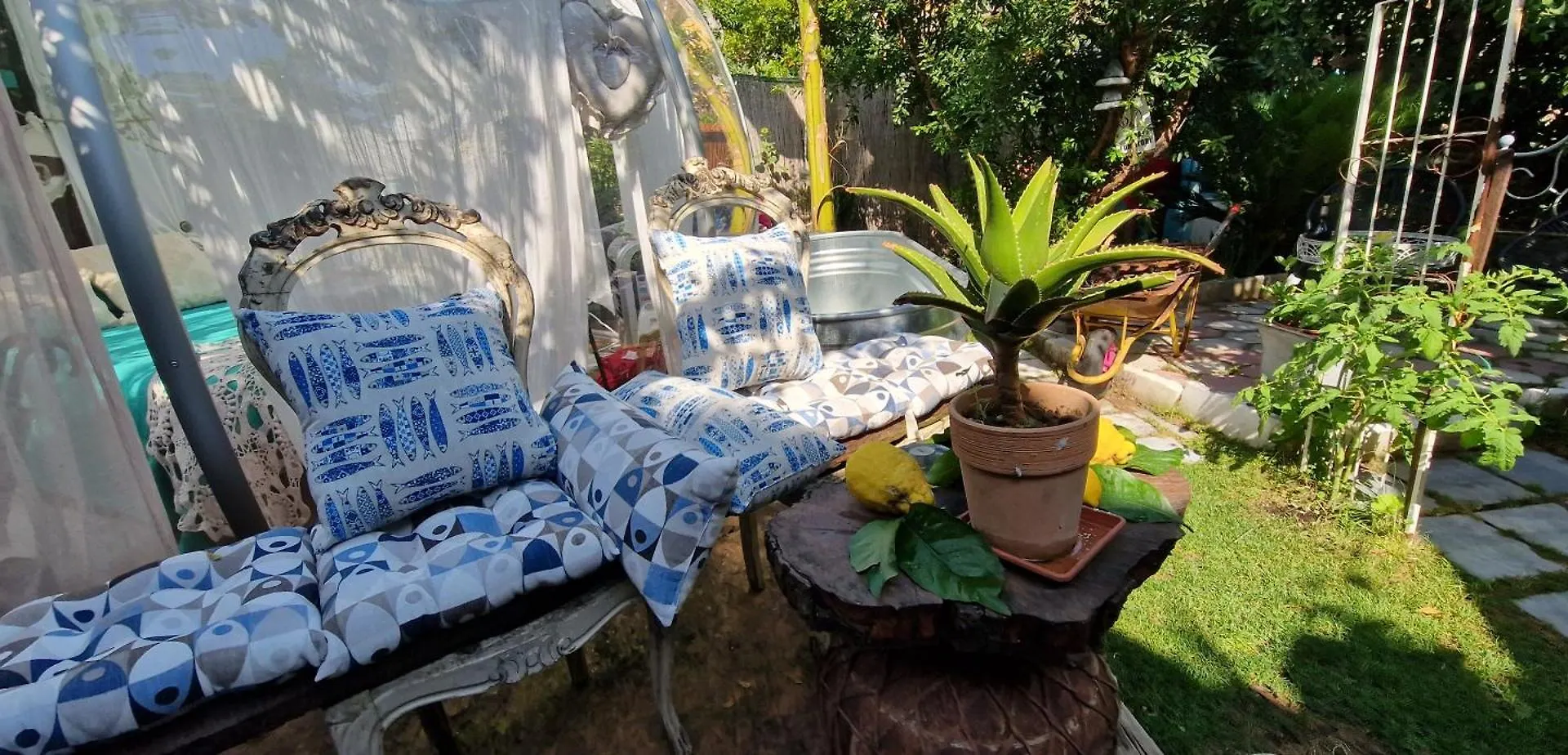 Luxury tent Sky Room - Carrara Bubble Room Tuscany Nel Ex Convento Delle Suore